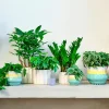 Intratuin bloempot op voet Adil wit / geel / groen D 13 H 12 cm