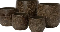 Intratuin bloempot Roas bruin D 16 H 14 cm