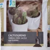 Intratuin cactusgrond 5 L
