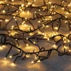 Intratuin clusterverlichting met 1920 lampjes light gold 25 m
