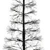 Intratuin decoratieboom met verlichting D 24 H 150 cm