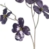 Intratuin kerstbloem Amerikaanse kornoelje paars H 66 cm