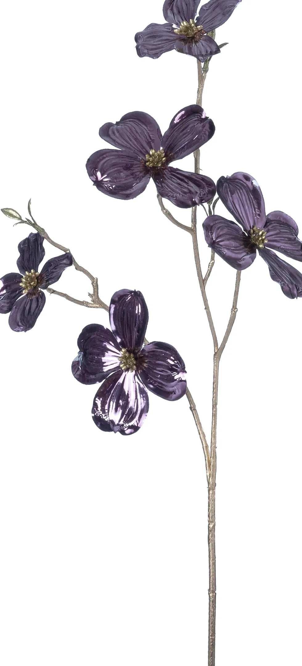 Intratuin kerstbloem Amerikaanse kornoelje paars H 66 cm