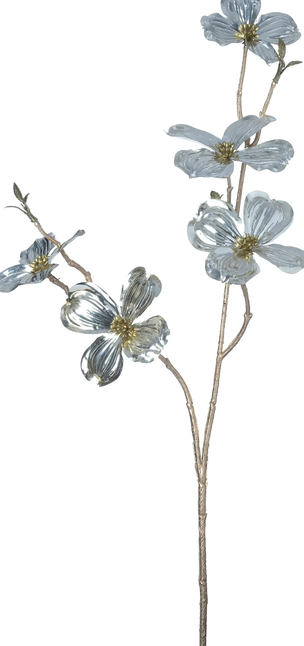 Intratuin kerstbloem Amerikaanse kornoelje zilver H 66 cm