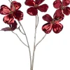 Intratuin kerstbloem Amerikaanse kornoelje rood H 84 cm
