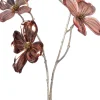 Intratuin kerstbloem Amerikaanse kornoelje roze H 66 cm