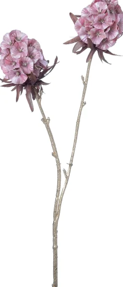 Intratuin kerstbloem Anjer roze H 48 cm