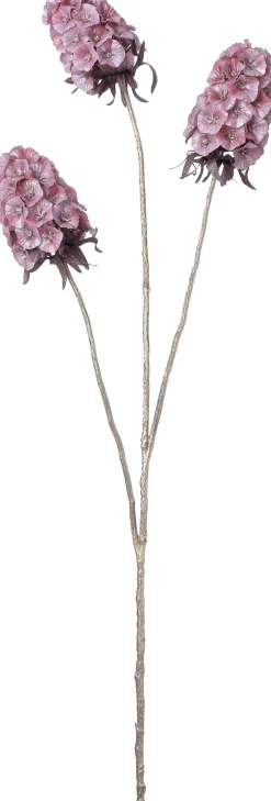 Intratuin kerstbloem Anjer roze H 77 cm