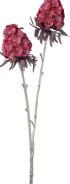 Intratuin kerstbloem Anjer rood H 48 cm