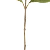 Intratuin kerstbloem hortensia bruin 69 cm