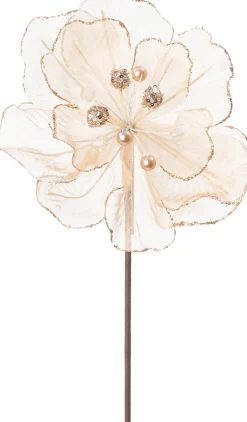 Intratuin kerstbloem Japanse roos wit 50 cm