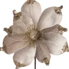Intratuin kerstbloem Joy crème D 18 cm