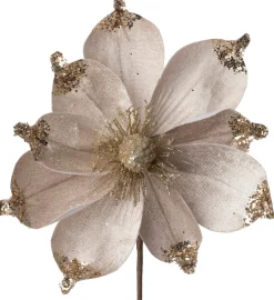 Intratuin kerstbloem Joy crème D 18 cm