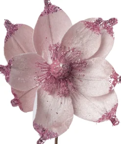 Intratuin kerstbloem Joy roze D 18 cm