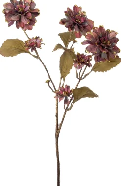 Intratuin kerstbloem kamille paars 90 cm