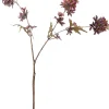 Intratuin kerstbloem kamille paars 78 cm