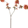 Intratuin kerstbloem kamille oranje 78 cm