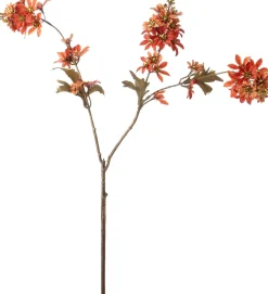 Intratuin kerstbloem kamille oranje 78 cm