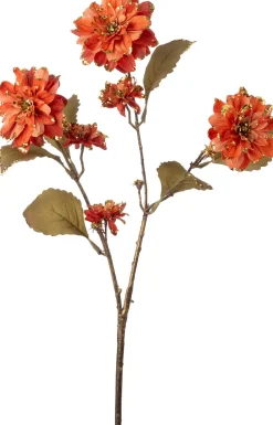Intratuin kerstbloem kamille groen 90 cm