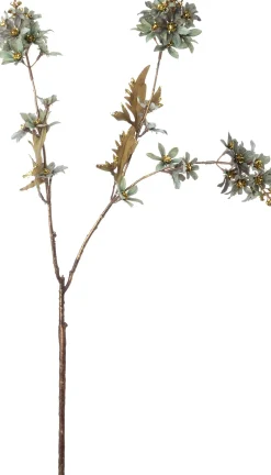 Intratuin kerstbloem kamille groen 78 cm