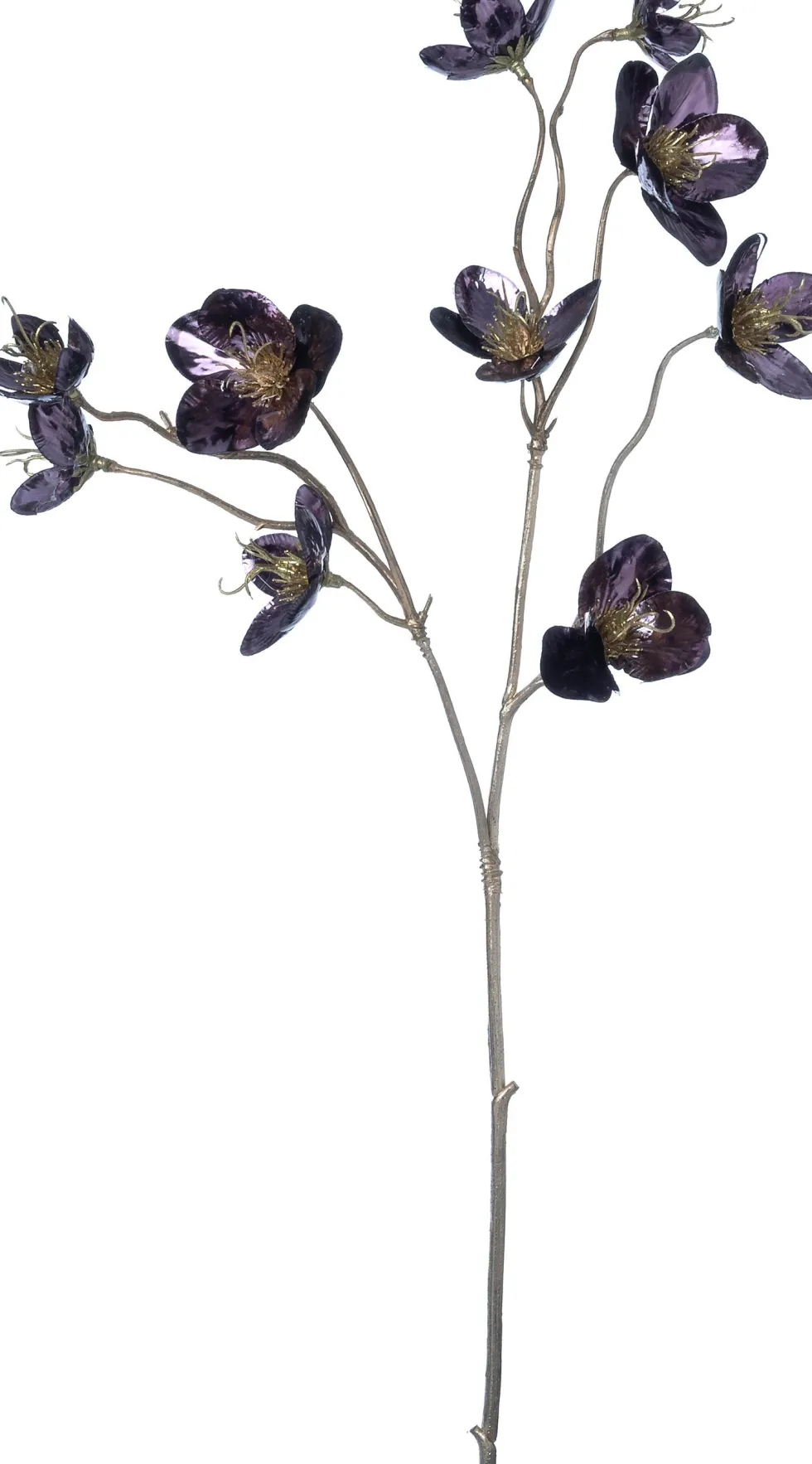 Intratuin kerstbloem Kerstroos paars, goud H 59 cm