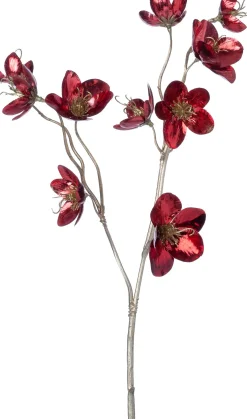 Intratuin kerstbloem Kerstroos rood, goud H 59 cm