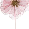 Intratuin kerstbloem Klaproos roze 50 cm