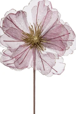 Intratuin kerstbloem Klaproos bordeaux 50 cm