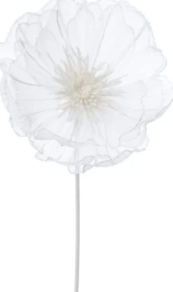 Intratuin kerstbloem Klaproos wit 50 cm