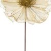 Intratuin kerstbloem Klaproos goud 50 cm