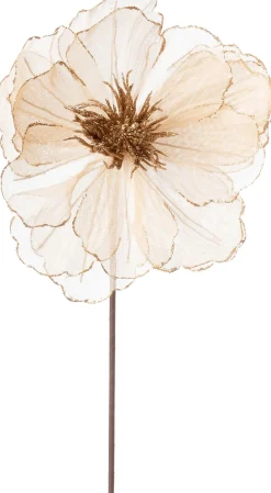 Intratuin kerstbloem Klaproos crème 50 cm