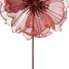 Intratuin kerstbloem Klaproos rood 50 cm