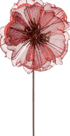 Intratuin kerstbloem Klaproos rood 50 cm