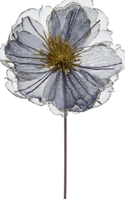 Intratuin kerstbloem Klaproos blauw 50 cm