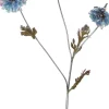 Intratuin kerstbloem madelief blauw 82 cm