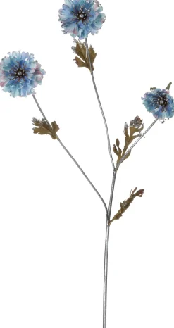 Intratuin kerstbloem madelief blauw 82 cm