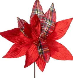 Intratuin kerstbloem Mayra rood 26 cm