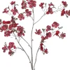 Intratuin kerstbloem Perzikbloesem rood H 120 cm