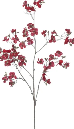 Intratuin kerstbloem Perzikbloesem rood H 120 cm