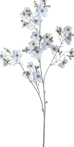 Intratuin kerstbloem Perzikbloesem wit H 87 cm