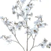 Intratuin kerstbloem Perzikbloesem wit H 120 cm