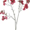 Intratuin kerstbloem Perzikbloesem rood H 50 cm