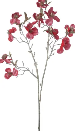 Intratuin kerstbloem Perzikbloesem rood H 50 cm
