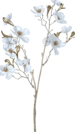 Intratuin kerstbloem Perzikbloesem wit H 50 cm