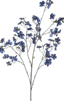 Intratuin kerstbloem Perzikbloesem blauw H 120 cm