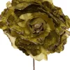 Intratuin kerstbloem pioenroos groen D 20 H 16 cm