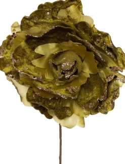 Intratuin kerstbloem pioenroos groen D 20 H 16 cm