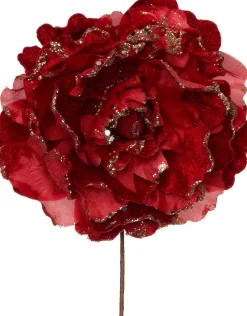 Intratuin kerstbloem pioenroos rood D 20 H 16 cm