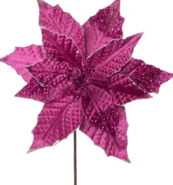 Intratuin kerstbloem Pippa fuchsia 23 cm
