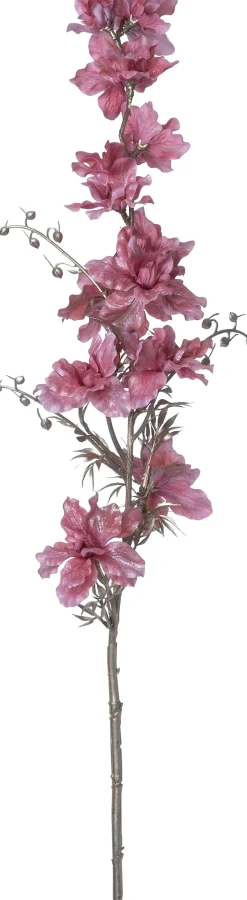 Intratuin kerstbloem Ridderspoor roze H 97 cm